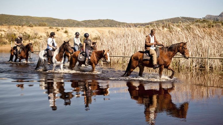 Beach Horse Ride - Stanford image 2