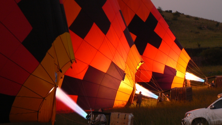 Safari Flight image 2