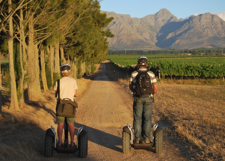 Segway Spier Wine Farm & Vineyards Tour image 4