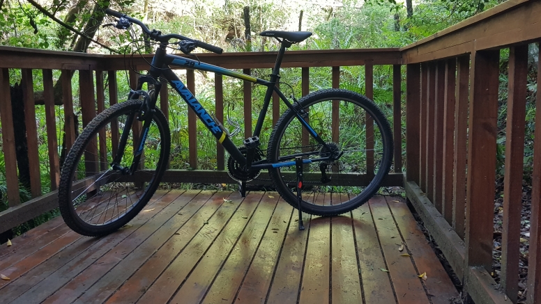 1 Hour Bike Rental image 1