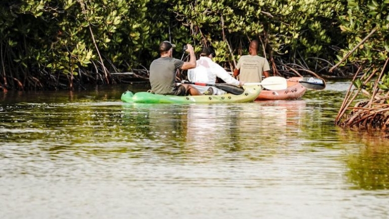 4 Hour Kosi Bay Kayaking Adventure image 3