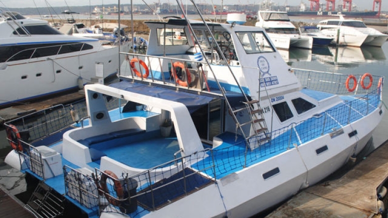 1 Hour Weekday Sea Cruise Durban image 4 1 Hour Weekday Sea Cruise Durban image 4