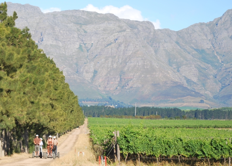 Segway Spier Wine Farm & Vineyards Tour image 5