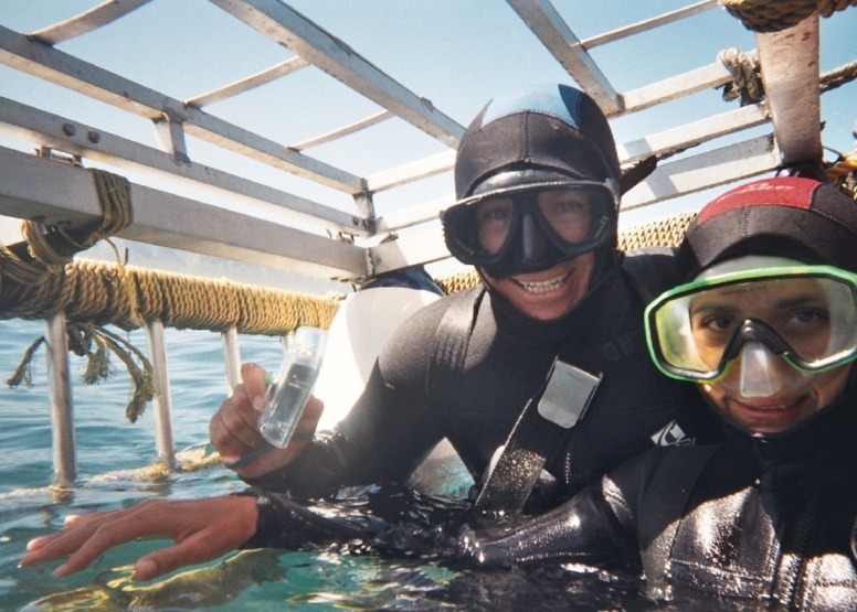 Shark Cage Diving in Gansbaai (White Shark Projects) image 3