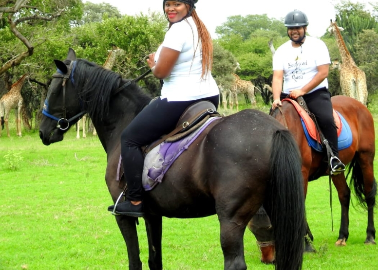 2 Hour Sunrise Safari Horse Ride Harties image 3