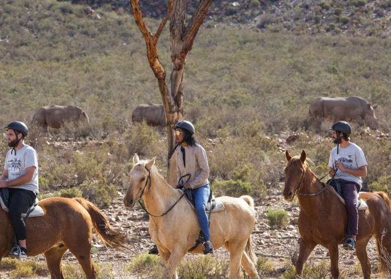 Horseback Safari image 6