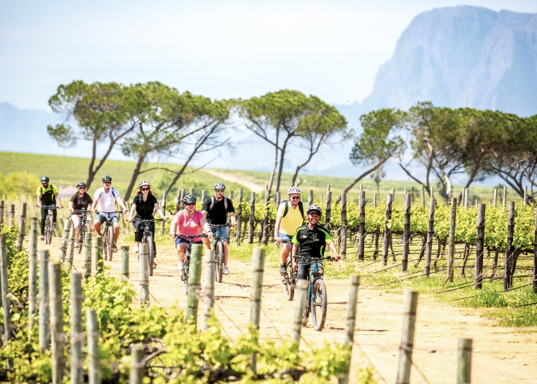 Stellenbosch Half Day Winelands Mountain Bike Tour image 5