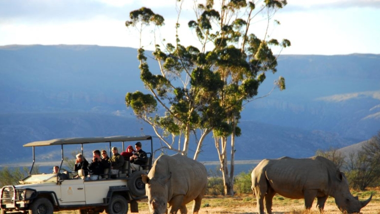 Cape Town Safari Full Day image 1