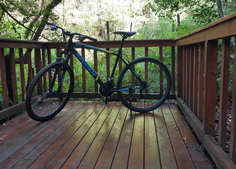 1 Hour Bike Rental image 1