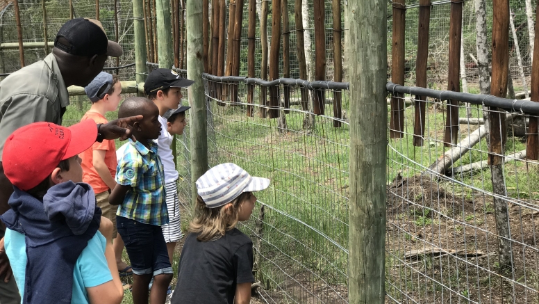 Eco Kidz Family Challenge image 11