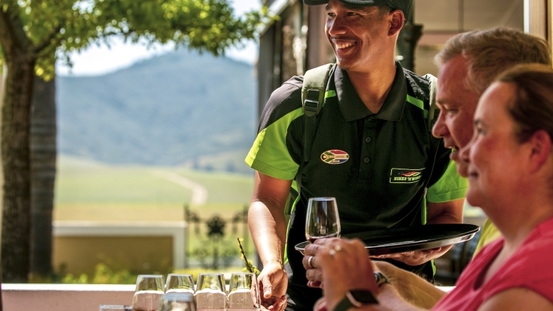 Stellenbosch Half Day Winelands Mountain Bike Tour image 6