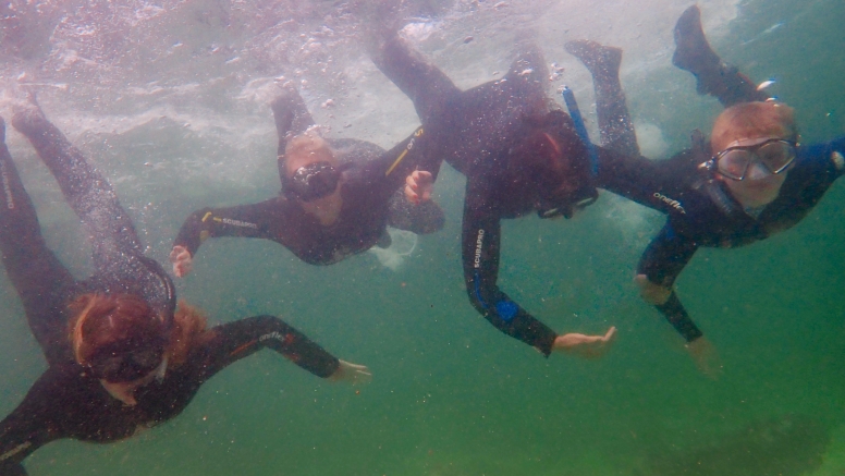 Snorkel Cape Town's Stunning Tidal Pools image 4