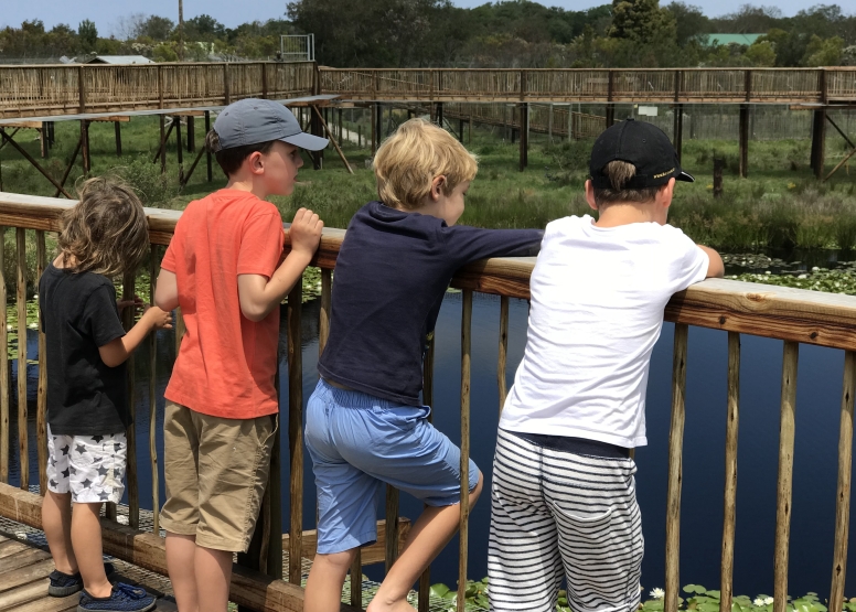 Eco Kidz Family Challenge image 8