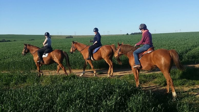 HALF DAY HORSEBACK WINE TOUR image 4