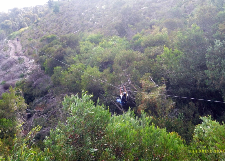 K3 The worlds longest zipline image 11