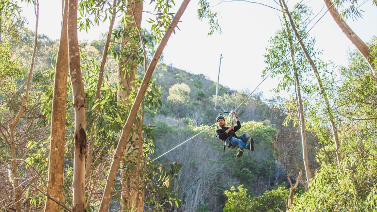 Tree Top Slides (Hermanus) image 3