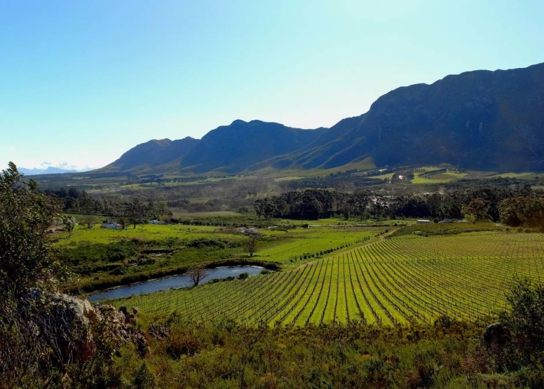 Full Day Hermanus image 6