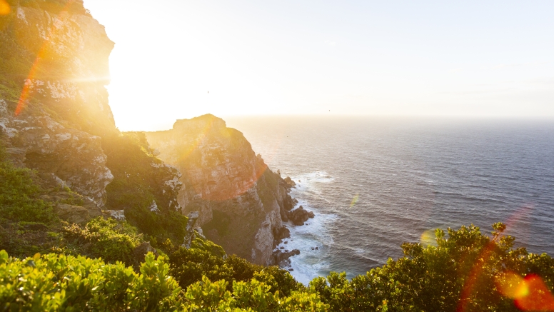 Cape Point Funicular - One Way Ticket - Up image 5