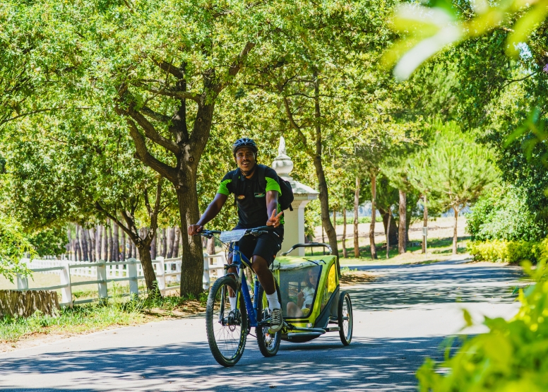 Stellenbosch Family Tour image 4