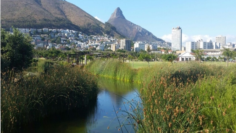 Cape Town City Cycle - Private Tours image 6