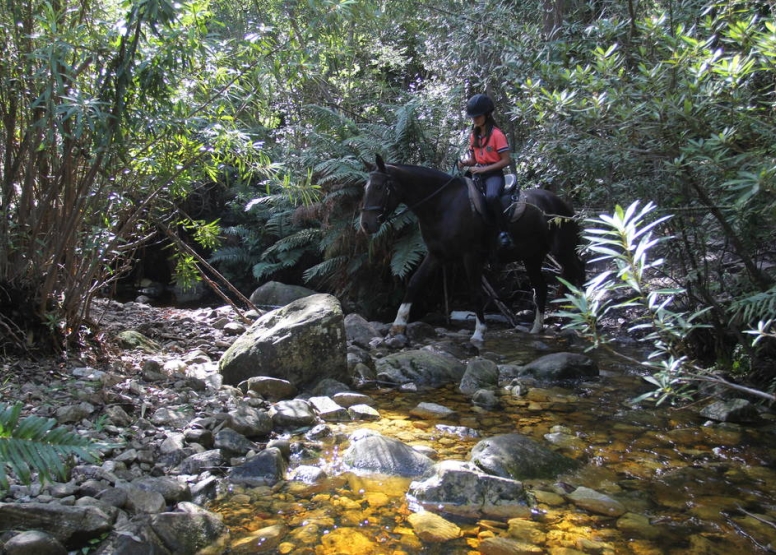 2 Hour Fynbos River Horse Ride image 1