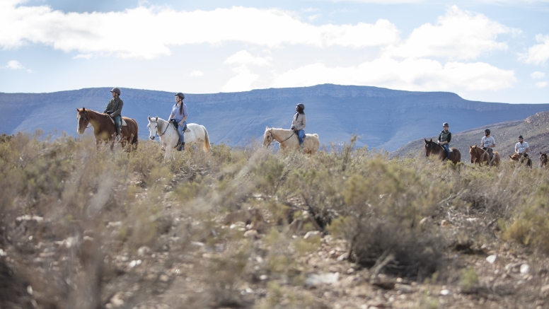 Horseback Safari (Including Transfer) image 1