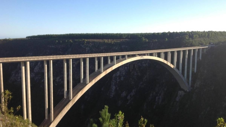 Bungy Jump Tour image 3