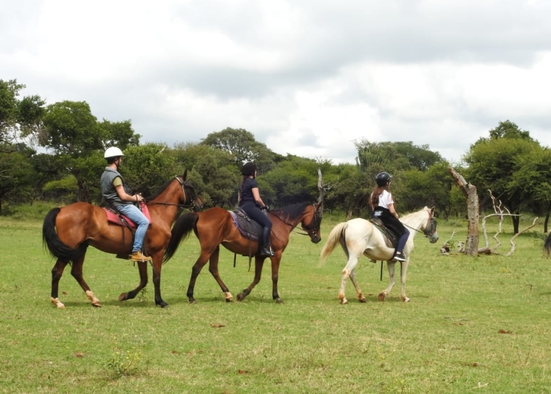 1 Hour Midday Breakaway Horse Ride Harties image 6