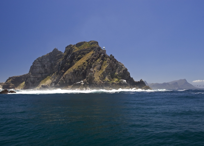 Shark Cage Diving Cape Town image 8