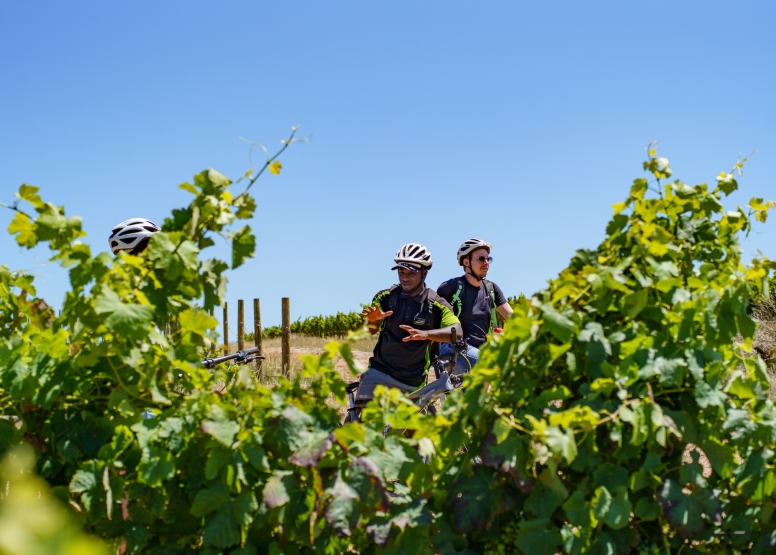 Stellenbosch Winelands Luxury EBike Cycle Tour image 2
