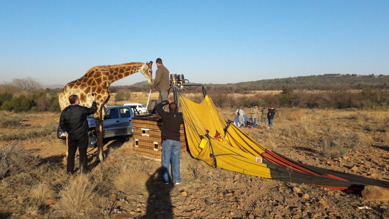 Safari Flight image 17