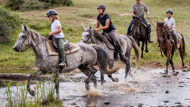 1 Hour Guided Horse Back Safari Beginners image 2