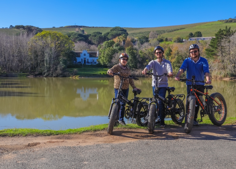 Half Day E Bike Winelands Tour image 3