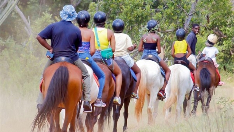 1 Hour Sunset Horse Ride Harties image 8