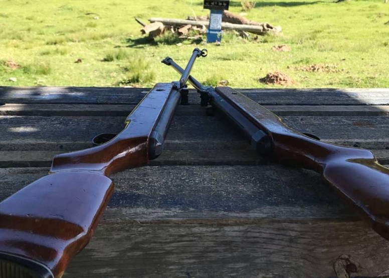 Pellet Gun Target Shooting image 1