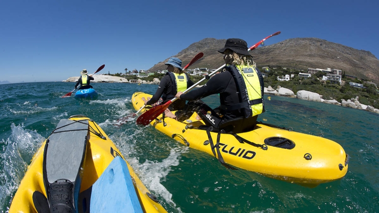 Penguin Kayak Paddle image 11