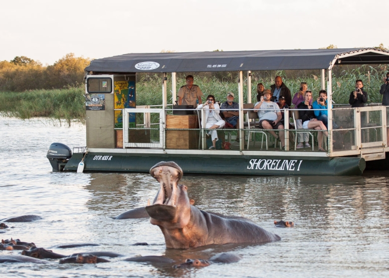 Hippo & Croc Boat Cruise image 3