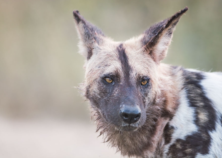 Wildlife Photography Workshop image 1