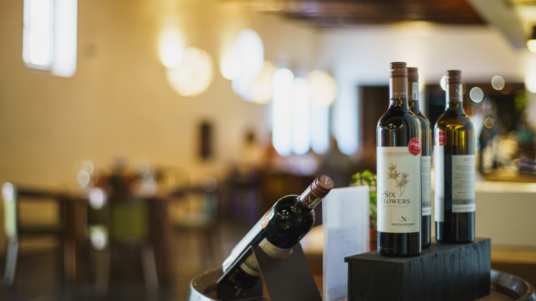 Stellenbosch Winelands Luxury EBike Cycle Tour image 3