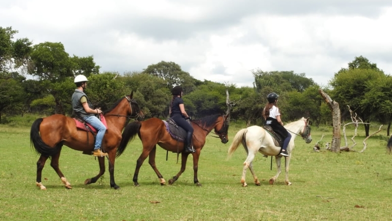 1 Hour Midday Breakaway Horse Ride Harties image 6