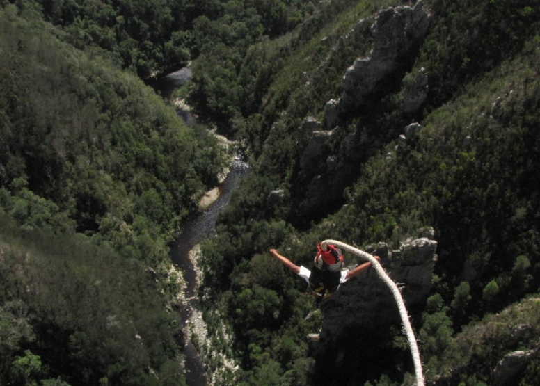 Bungy Jump image 1