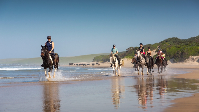 7 night 8 day Wild Coast Horse Trail our Signature Monthly Adventure Trail image 7