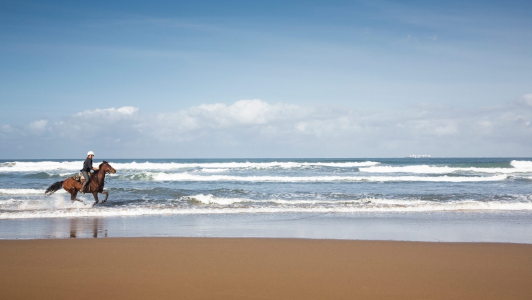 Kei Mouth Beginners Beach Ride image 1