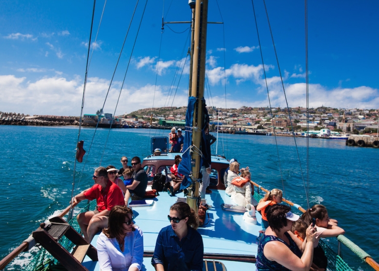 Boat Based Whale Watching image 4