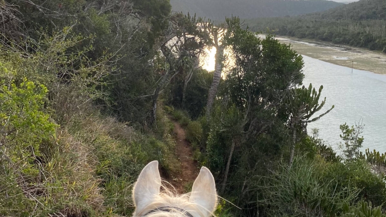 Kariega River Horse Ride image 11