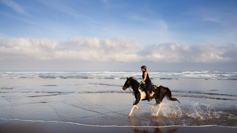 Kei Mouth Beginners Beach Ride image 8