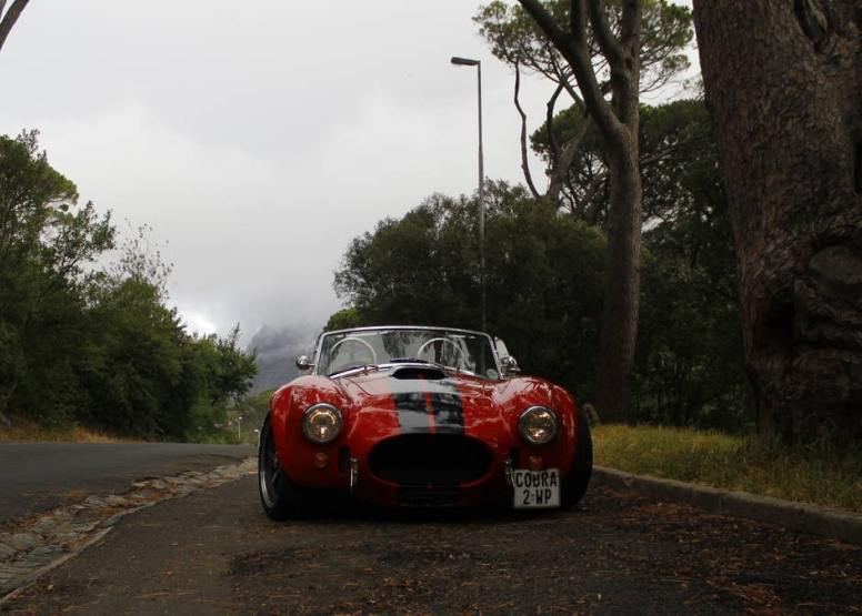 Sunset Cobra Experience - White With Red Stripes image 13