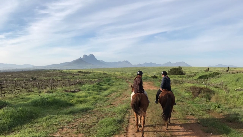 HALF DAY HORSEBACK WINE TOUR image 3