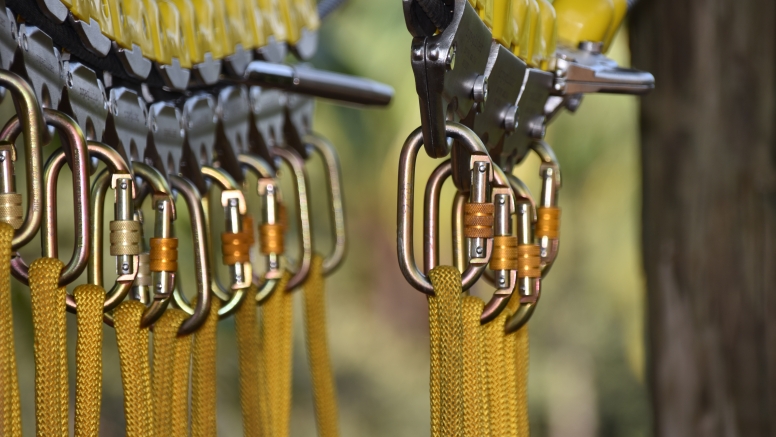 Chimp & Zee Rope Adventure image 4