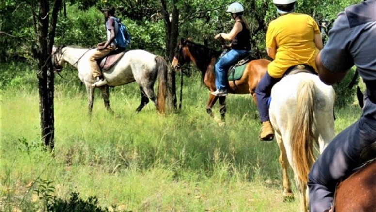 2 Hour Sunrise Safari Horse Ride Harties image 6